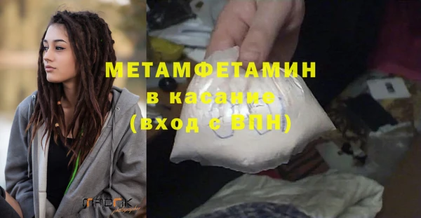 прущие грибы Краснослободск