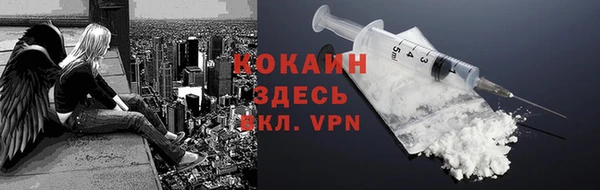 прущие грибы Краснослободск