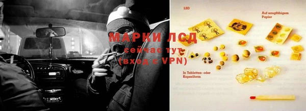 PSILOCYBIN Кулебаки