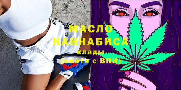 прущие грибы Краснослободск