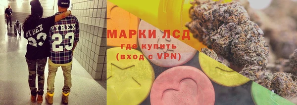 прущие грибы Краснослободск
